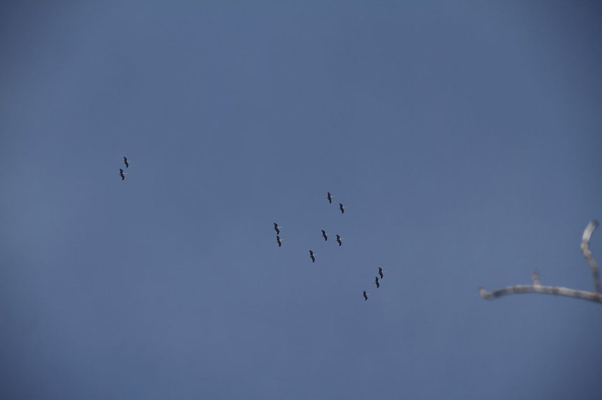 Der Fr&uuml;hling kommt - im Park Hohenrode ist er schon ein bisschen da