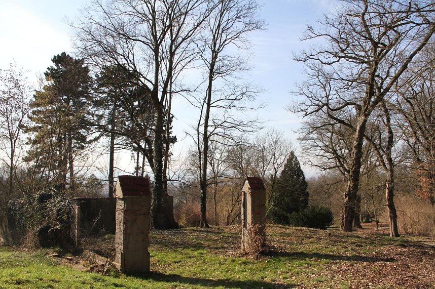 Der Fr&uuml;hling kommt - im Park Hohenrode ist er schon ein bisschen da