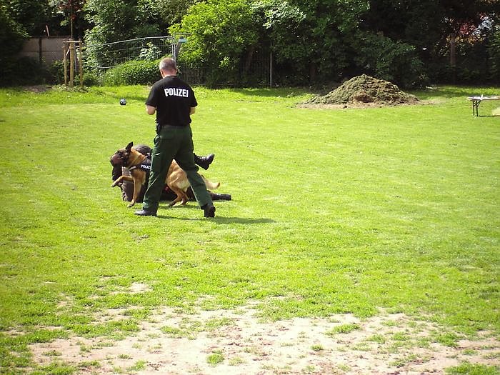 Kinderfest in Niedersalza