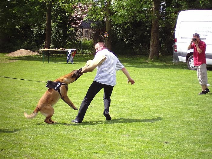 Kinderfest in Niedersalza