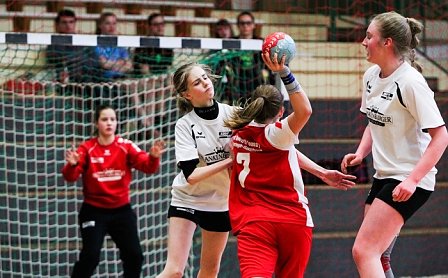 Handball-Wochenende