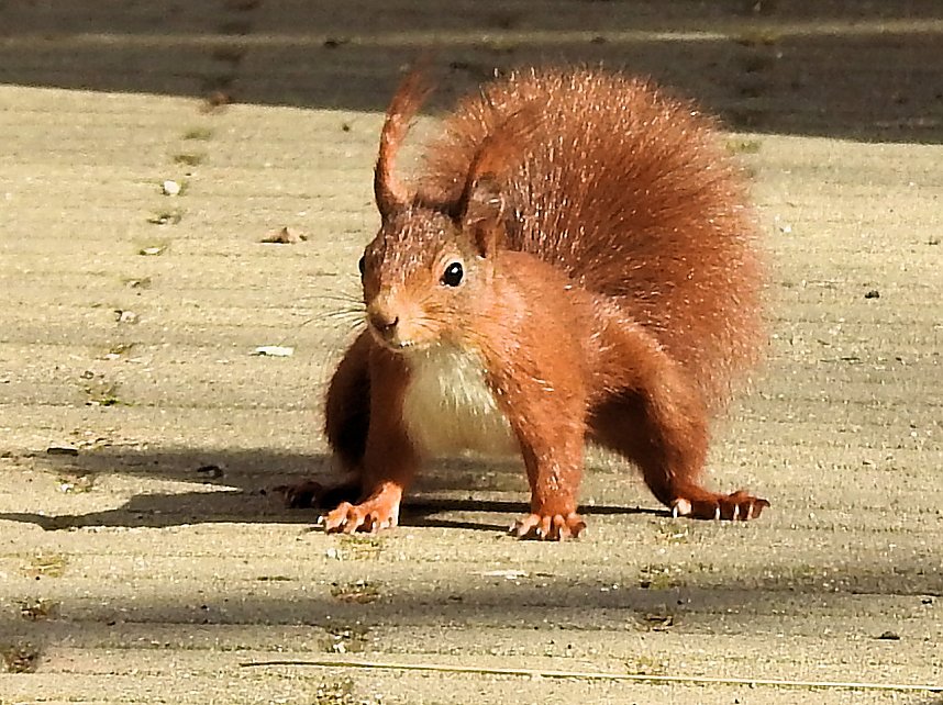Am Ende der Puschkin-Stra&szlig;e