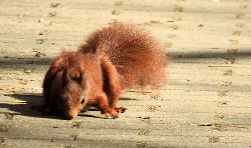 Am Ende der Puschkin-Stra&szlig;e
