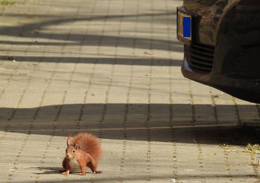 Am Ende der Puschkin-Stra&szlig;e
