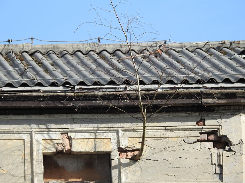 Am Ende der Puschkin-Stra&szlig;e