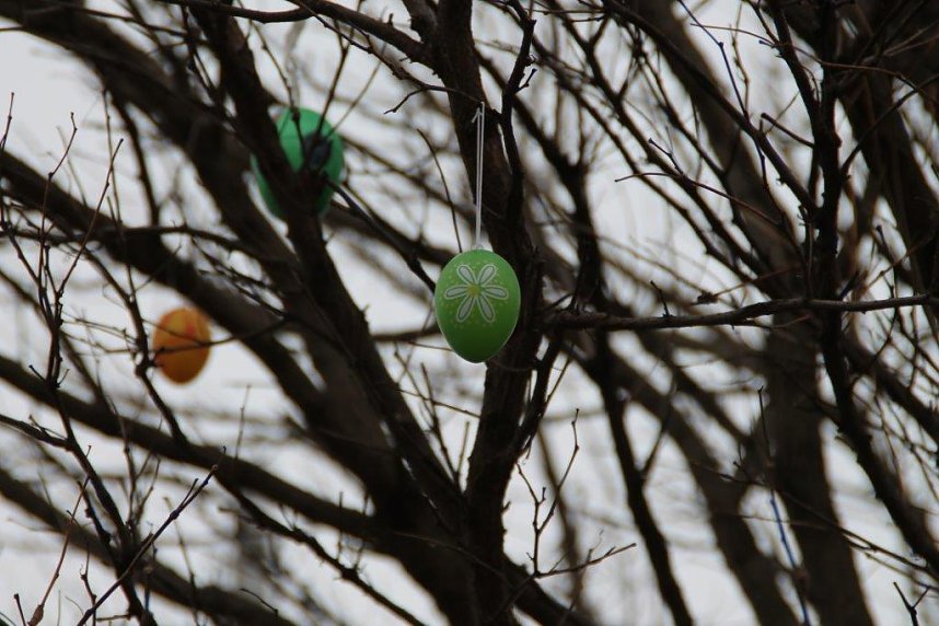 1.500 Ostereier angehangen