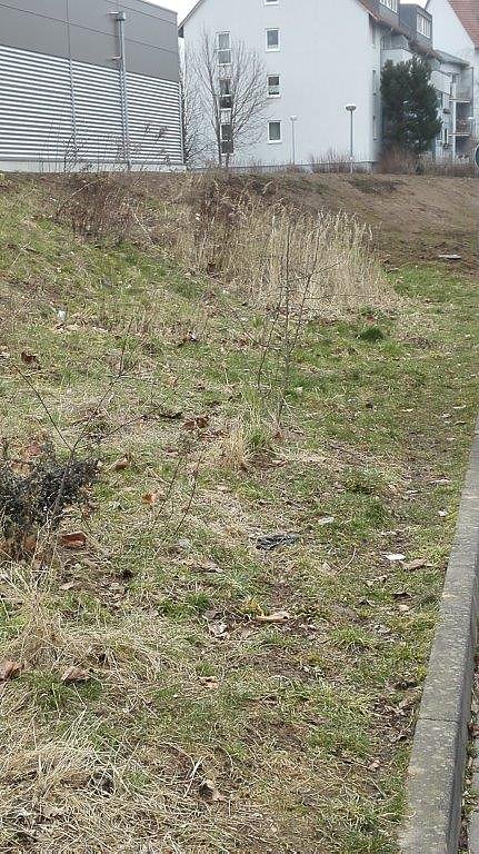 Rund um den Edeka-Markt in Nordhausen Ost