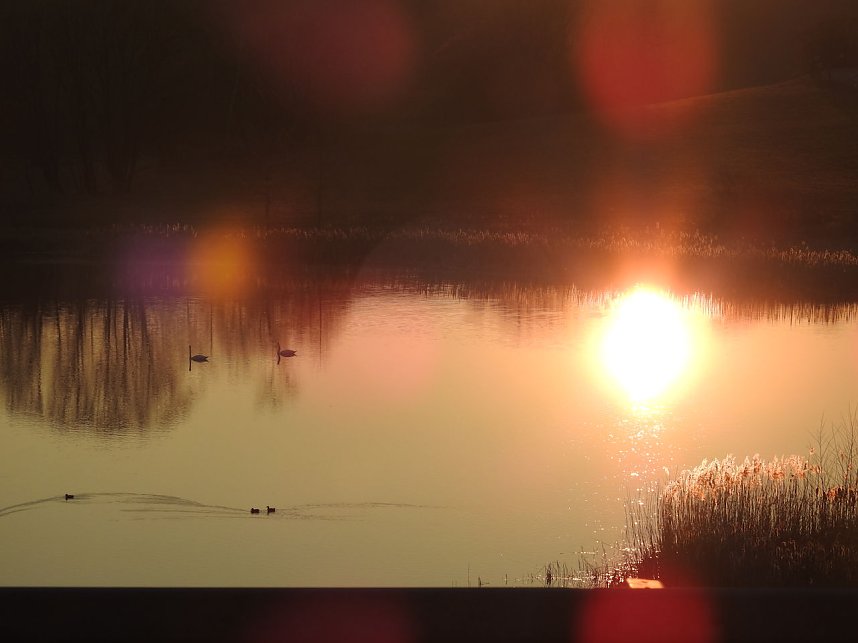 Sonnenuntergang am Donnerstag