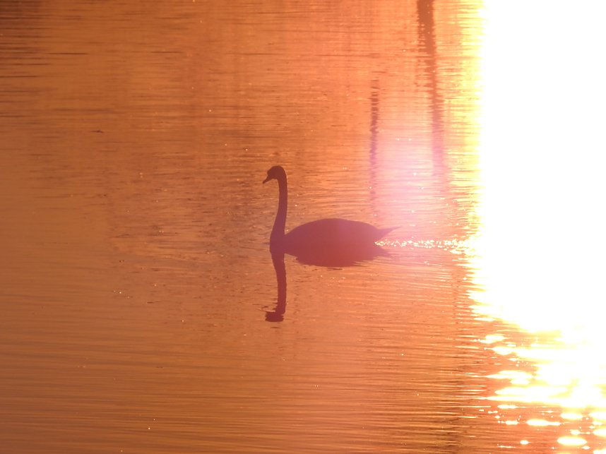 Sonnenuntergang am Donnerstag