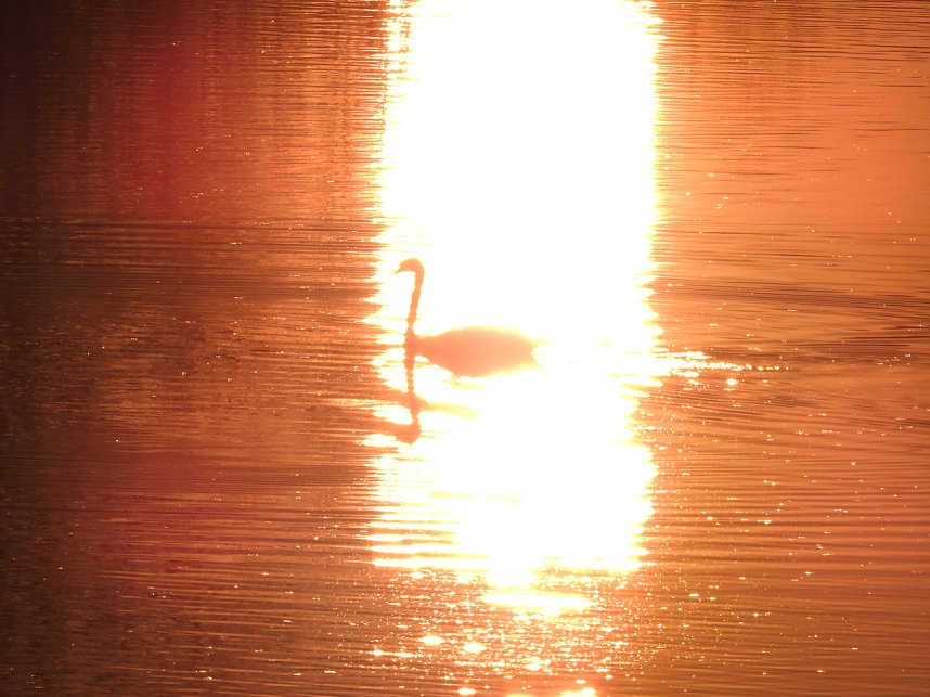 Sonnenuntergang am Donnerstag