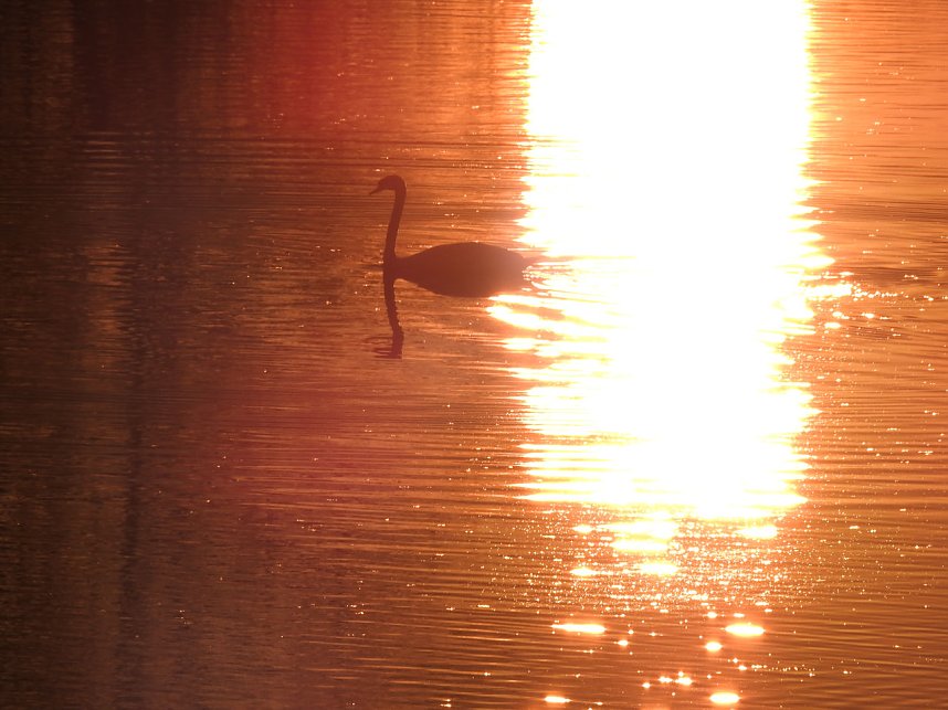 Sonnenuntergang am Donnerstag