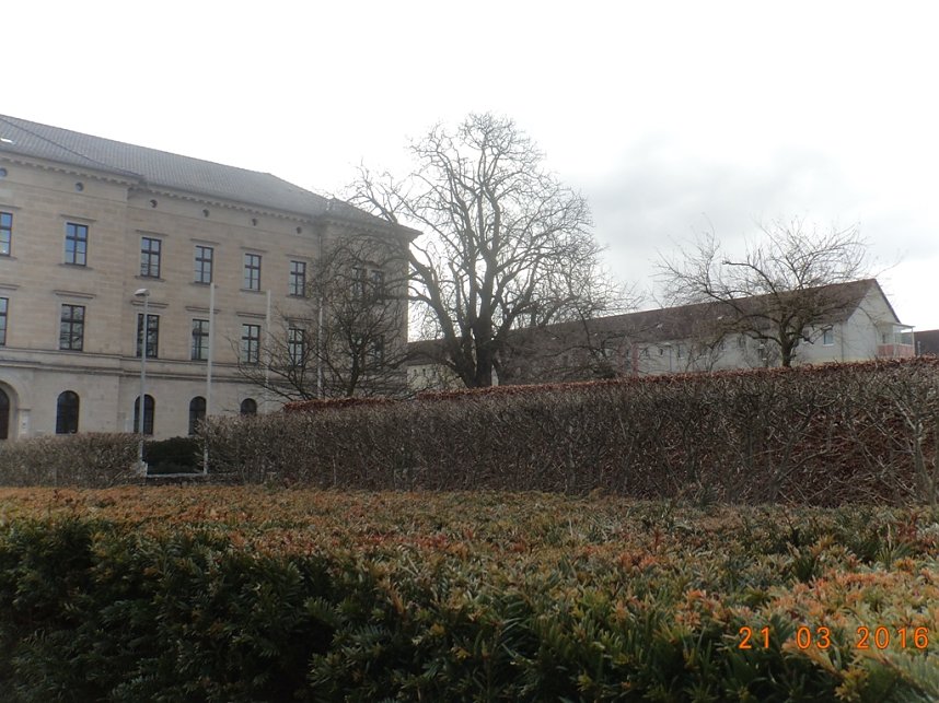 Petersberggarten erwacht aus dem Winterschlaf