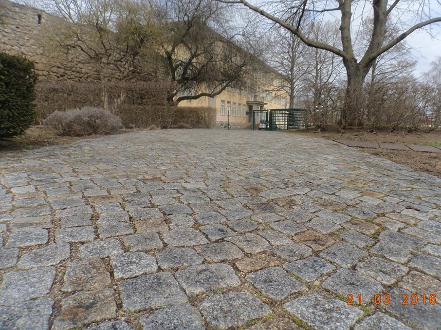 Petersberggarten erwacht aus dem Winterschlaf
