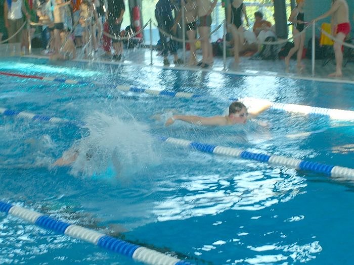 Um die Wette geschwommen