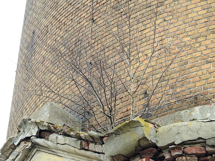 Wasserturm in Delitzsch