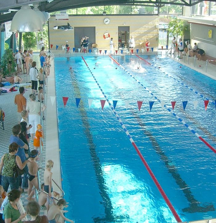 Um die Wette geschwommen