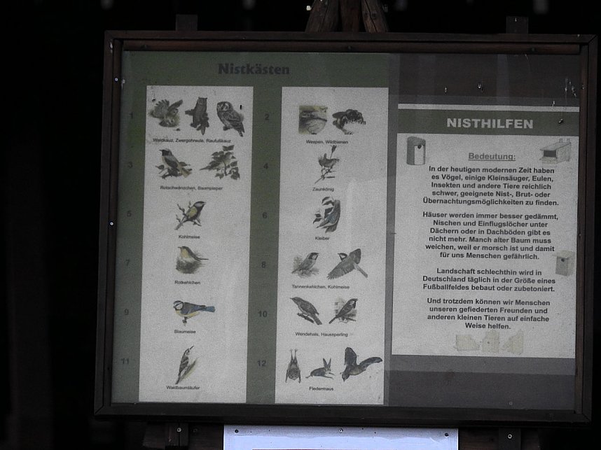 Besuch in Silberh&uuml;tte (Teil 2)