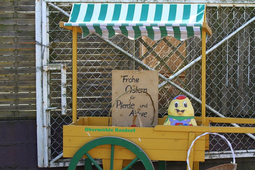 Hallenreitturnier in Immenrode