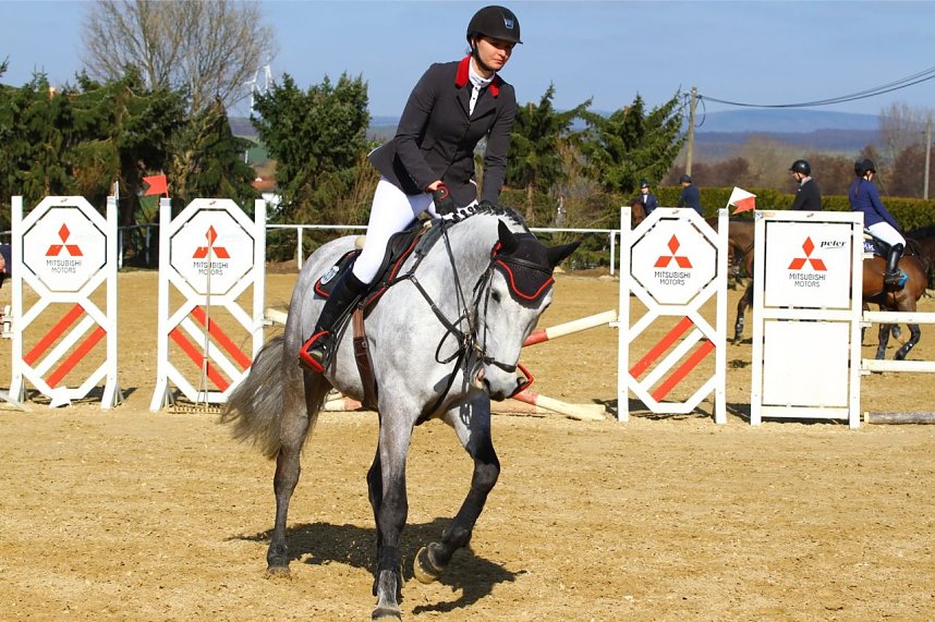 Hallenreitturnier in Immenrode