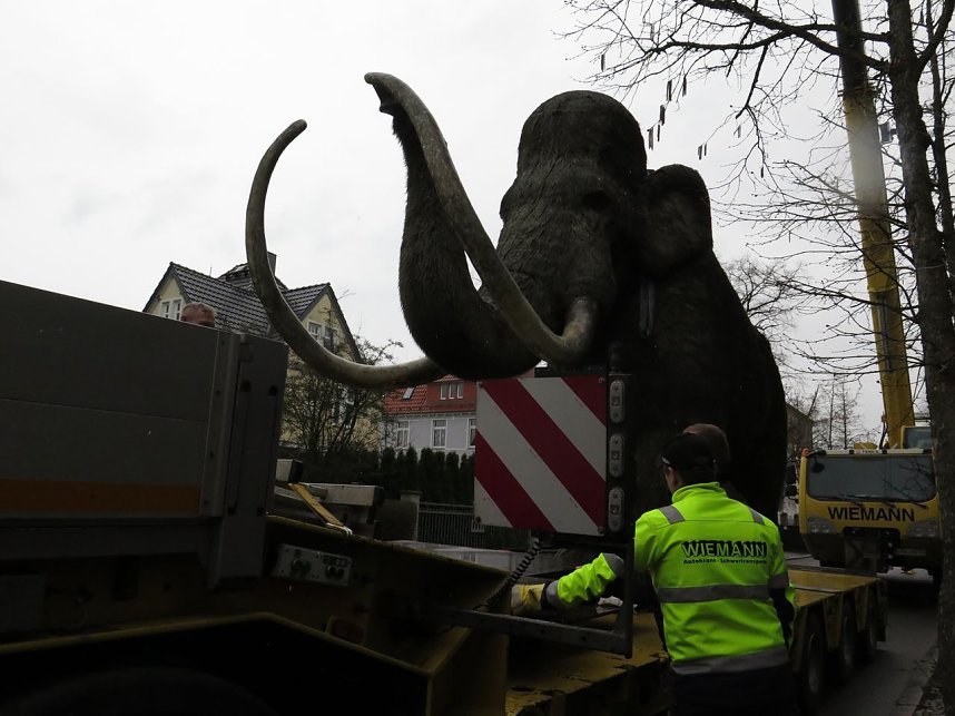 Das Mammut ist umgezogen