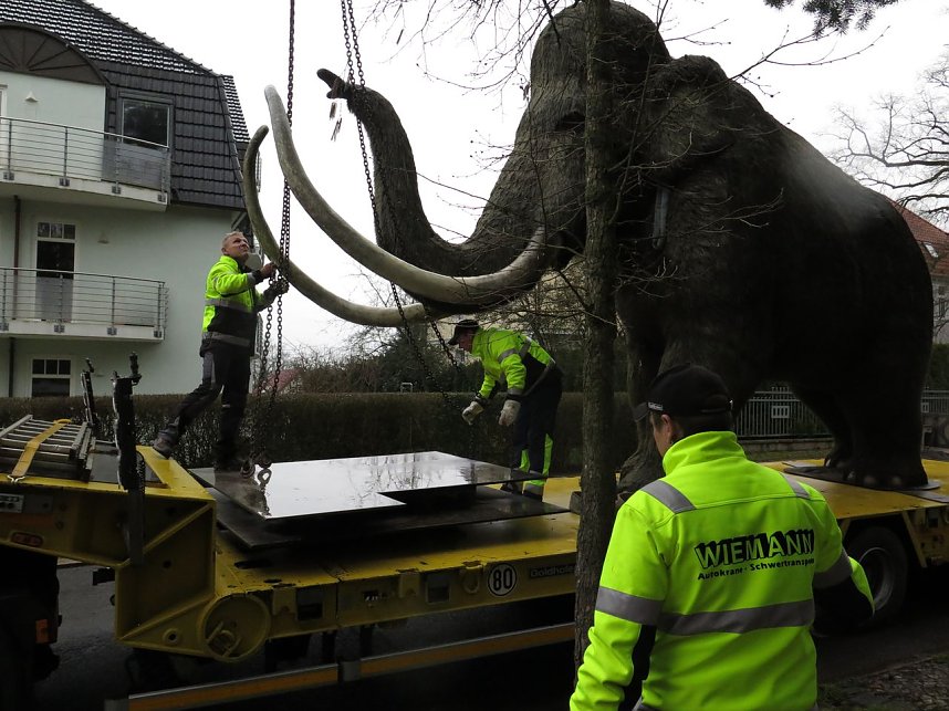 Das Mammut ist umgezogen