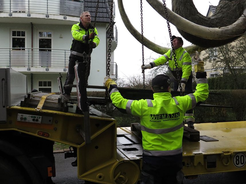 Das Mammut ist umgezogen