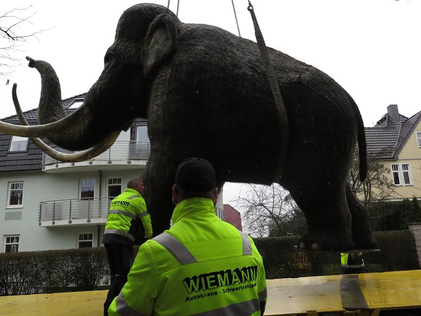 Das Mammut ist umgezogen