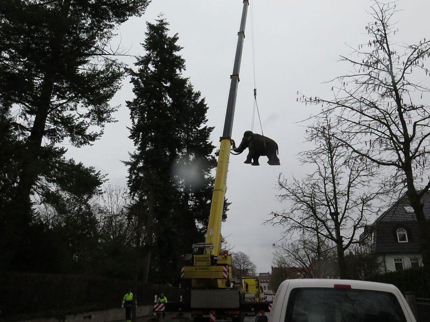 Das Mammut ist umgezogen