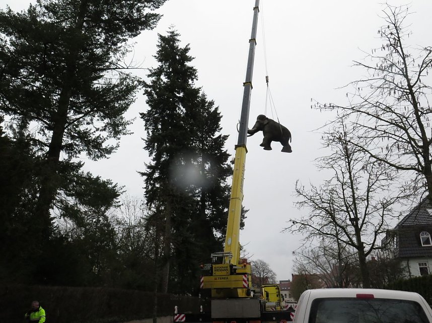 Das Mammut ist umgezogen