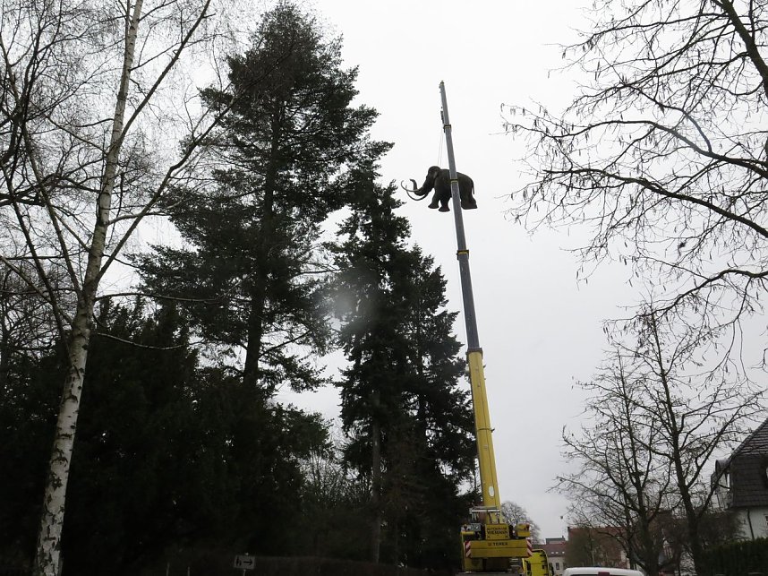 Das Mammut ist umgezogen