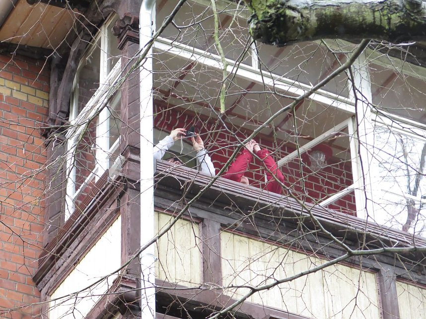 Das Mammut ist umgezogen