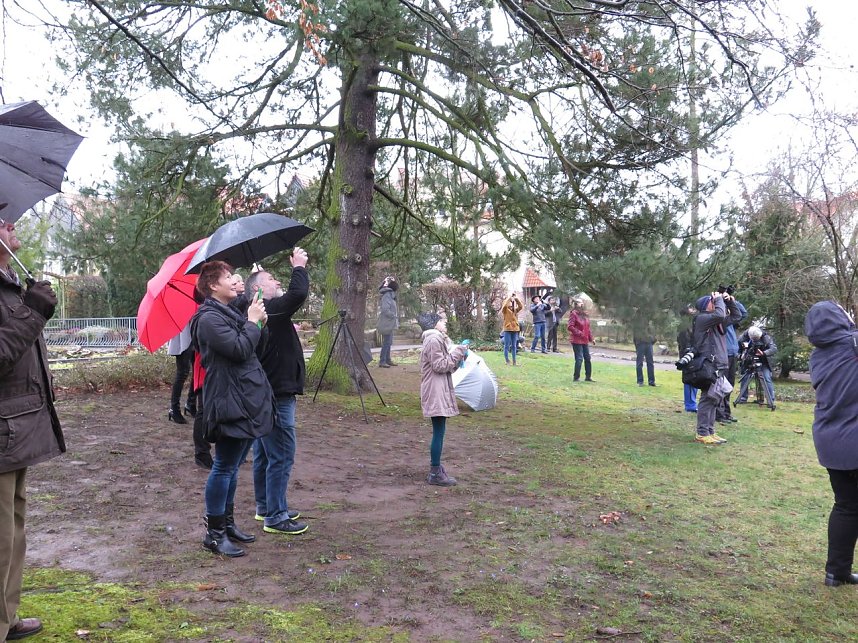 Das Mammut ist umgezogen