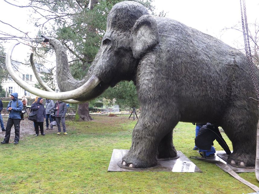 Das Mammut ist umgezogen