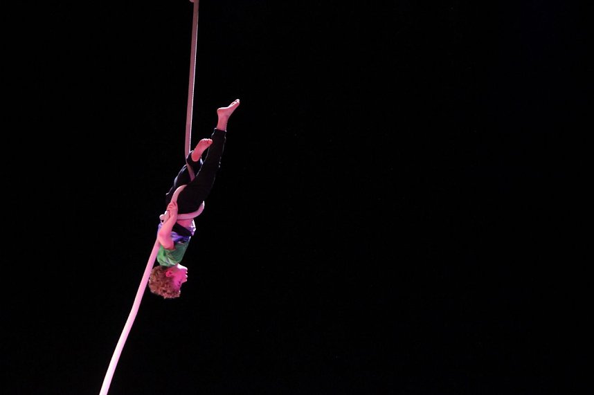 No money - pure honey - die Kinder des Zirkus Zappelini zeigten am Abend, was sie drauf haben