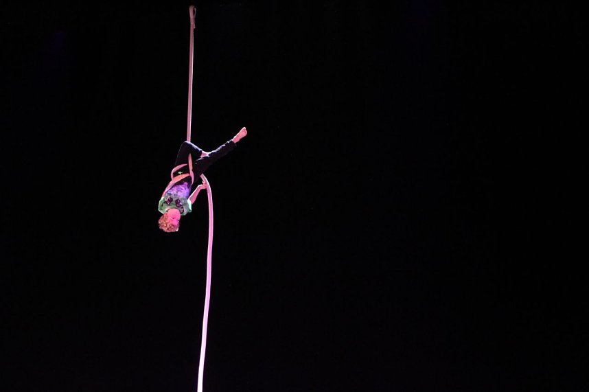 No money - pure honey - die Kinder des Zirkus Zappelini zeigten am Abend, was sie drauf haben