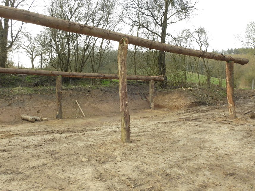 Platz f&uuml;r Wasserb&uuml;ffel