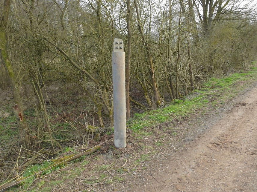 Platz f&uuml;r Wasserb&uuml;ffel