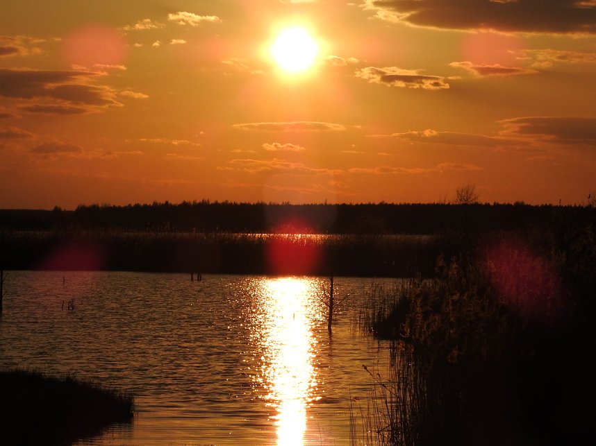 Peter Blei unterwegs - Seelhausener See im Abendrot