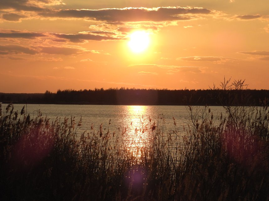 Peter Blei unterwegs - Seelhausener See im Abendrot