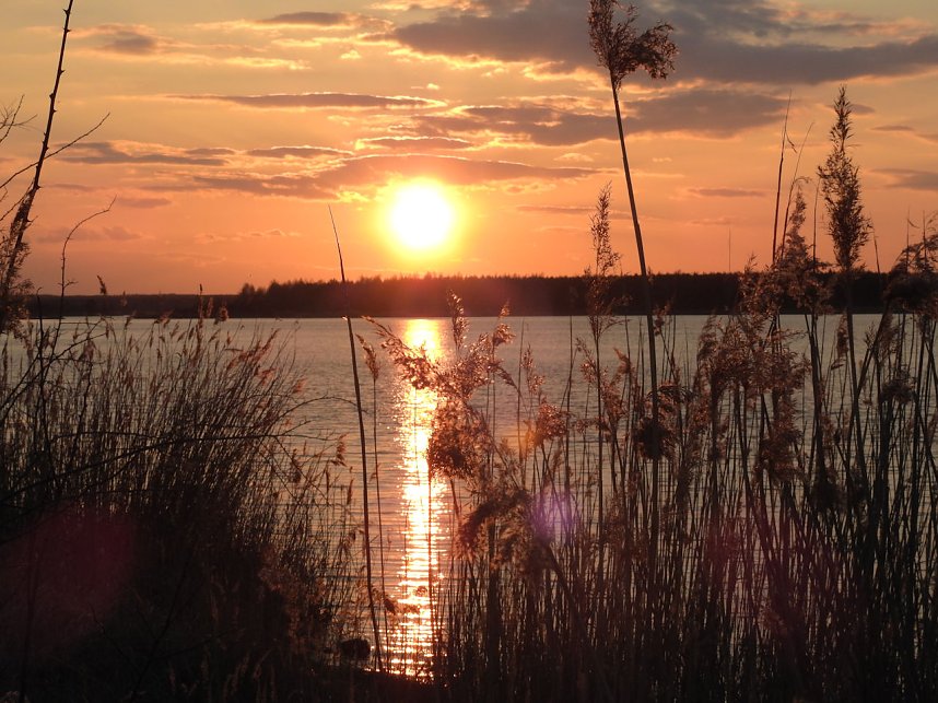 Peter Blei unterwegs - Seelhausener See im Abendrot