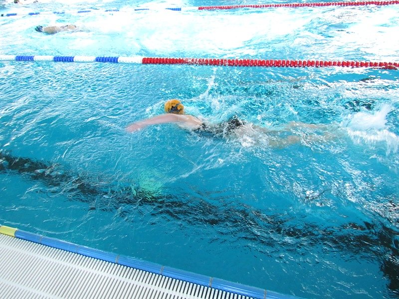 Stadtmeisterschaften im Schwimmen