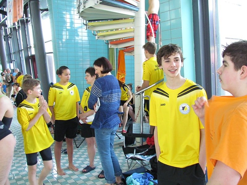Stadtmeisterschaften im Schwimmen