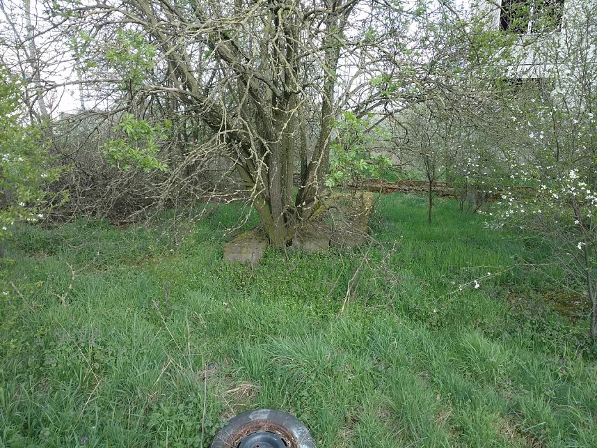 Peter Blei unterwegs in der S&uuml;dstra&szlig;e