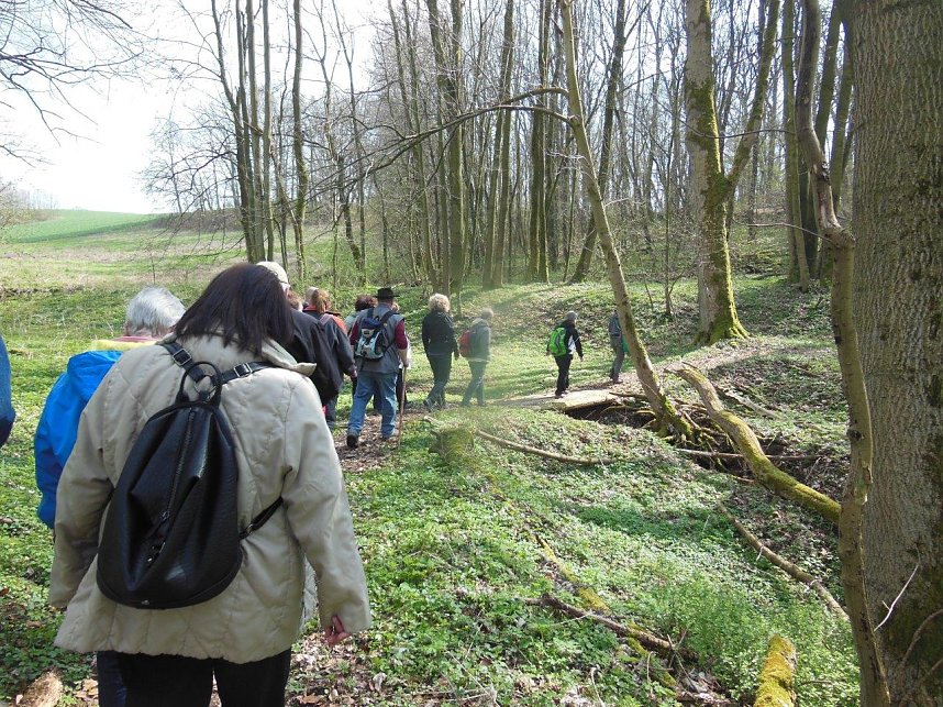 Karstwanderung zum Ochsenloch bei Harztor