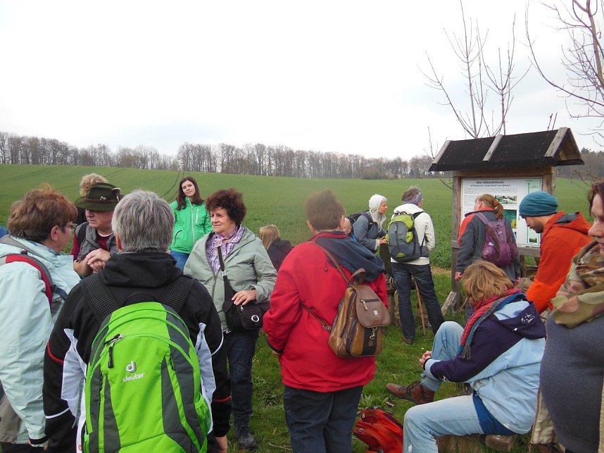 Karstwanderung zum Ochsenloch bei Harztor
