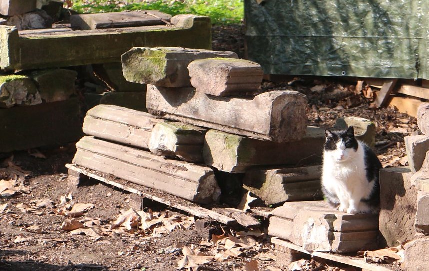 Der Fr&uuml;hling hat schon lange Einzug gehalten im Park Hohenrode