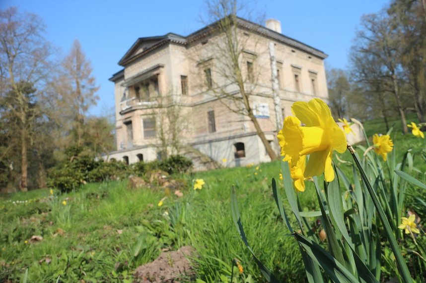 Der Fr&uuml;hling hat schon lange Einzug gehalten im Park Hohenrode
