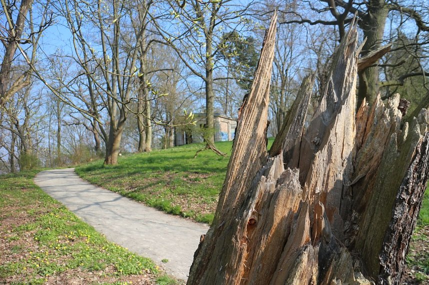 Der Fr&uuml;hling hat schon lange Einzug gehalten im Park Hohenrode