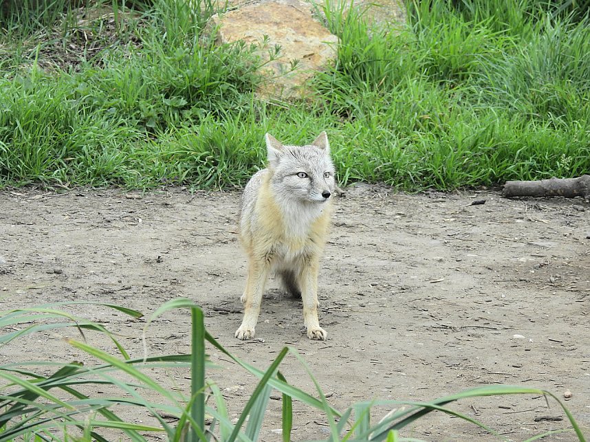 Tiergarten Delitzsch