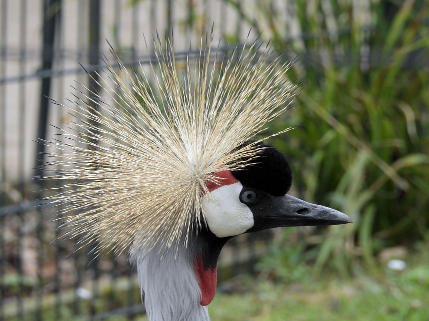 Tiergarten Delitzsch